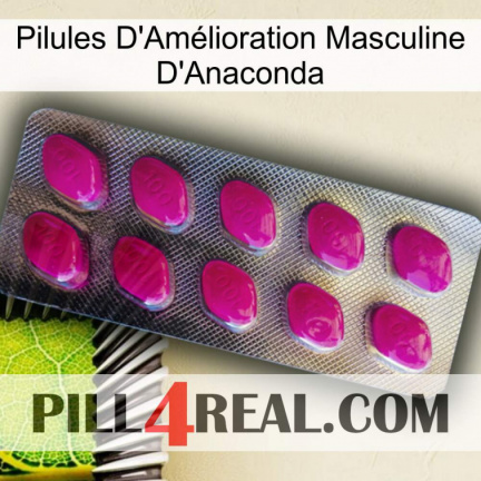 Anaconda Male Enhancement Pills 09